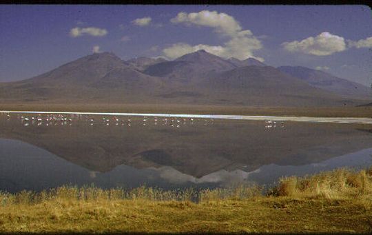 Laguna Caapa