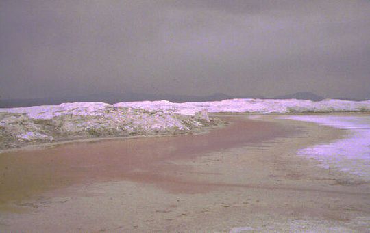 Laguna Colorada Laguna Colorada