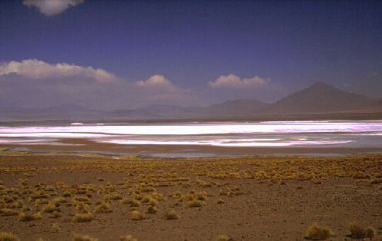 Laguna Colorada Laguna Colorada