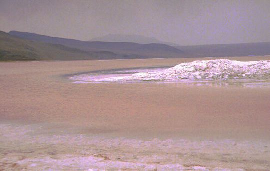Laguna Colorada Laguna Colorada