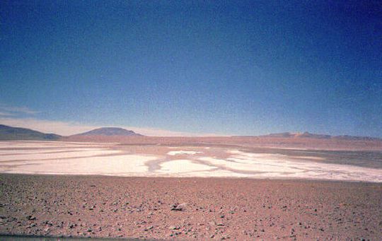 Laguna Colorada Laguna Colorada