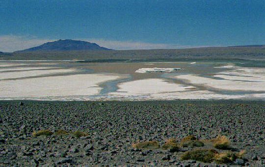 Laguna Colorada Laguna Colorada