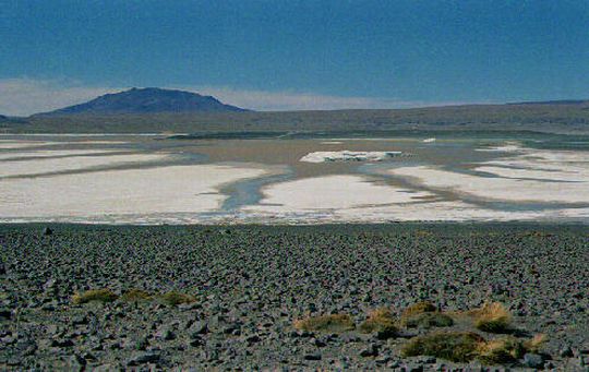 Laguna Colorada