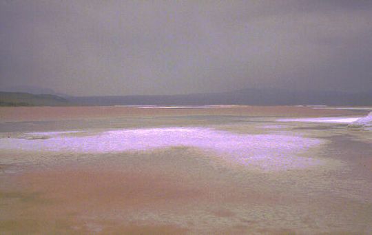 Laguna Colorada Laguna Colorada