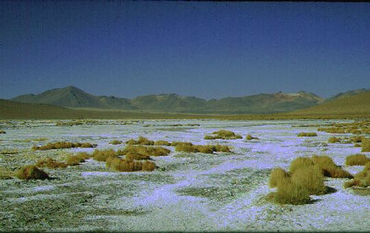 Depsito mineral en el desierto