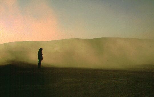 Rodlophe in the heat of fumaroles at sunrise