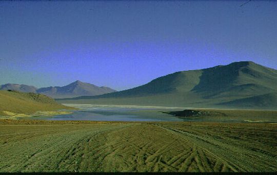 Laguna del Sur Lipez
