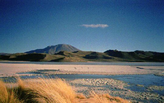 Laguna Hedionda