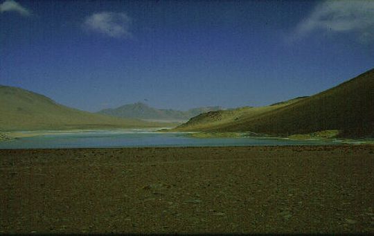 A lagoon in Sur Lipez