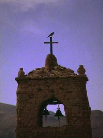 Hawk on the bell-tower of the chapel of San Juan