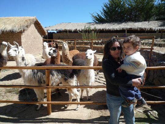 Nataly y Fabien en el parque de llamas y alpacas