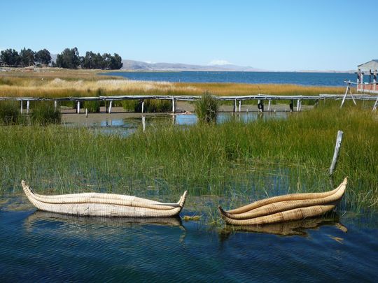 Barcos de totora