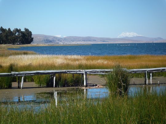 Titicaca lake and Illimani