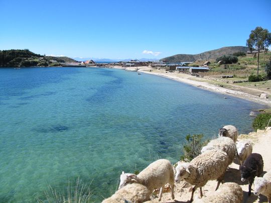 Bahía de Challapampa Bahía de Challapampa