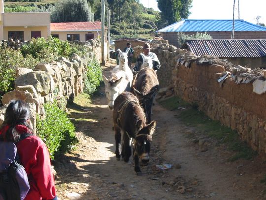 Alley in Yumani Alley in Yumani