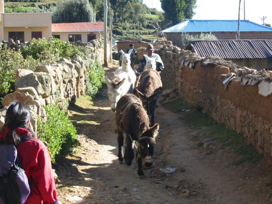 Callejn de Yumani