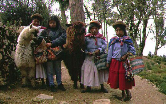 Cholitas and alpacas Cholitas and alpacas