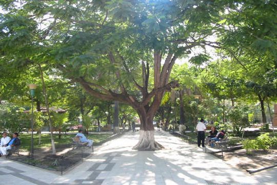 Plaza José Ballivián Plaza José Ballivián
