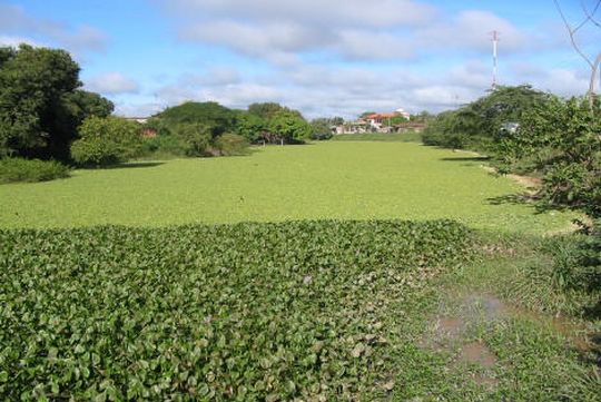 Arroyo de San Juan