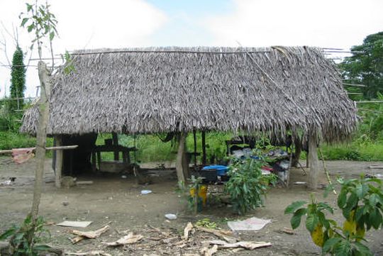 Hut in the rainforest