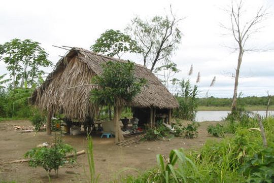 Cabaa en la orilla del ro