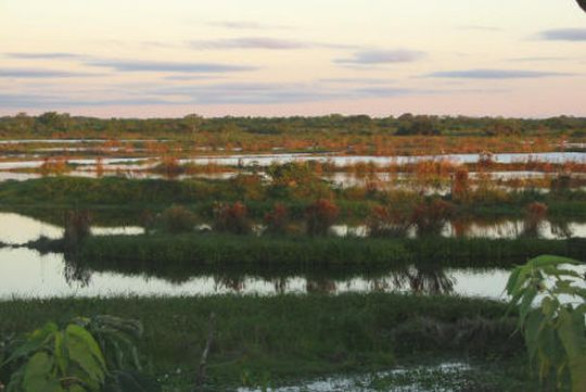 Coucher de soleil sur la pampa