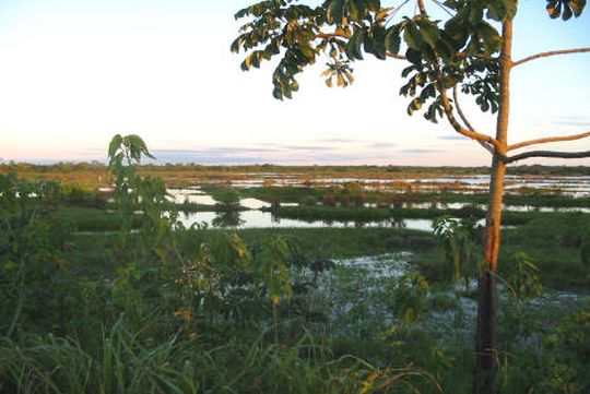 Coucher de soleil sur la pampa