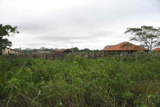 slaughterhouse of Trinidad slaughterhouse of Trinidad