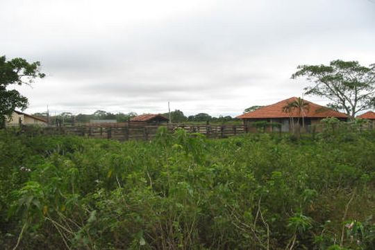 Abattoir de Trinidad