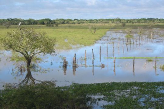 Flooded pampas Flooded pampas