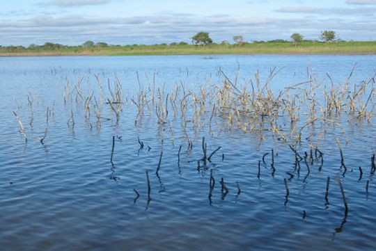 En el río En el río