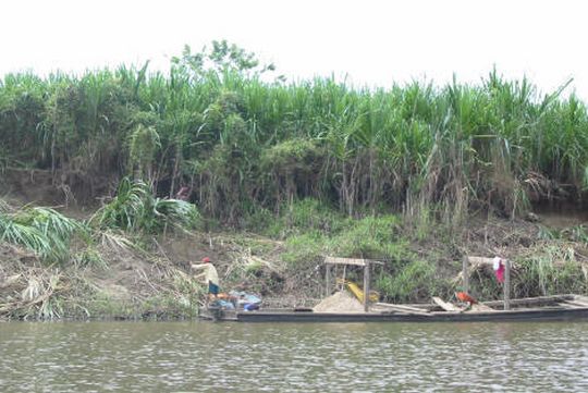 Extracción de tierra en la orilla del río Extracción de tierra en la orilla del río