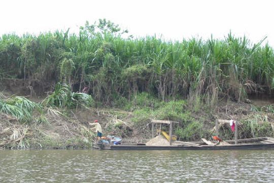 Extraction de terre sur la rive