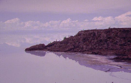 Ile des Pêcheurs sur le Salar inondé Ile des Pêcheurs sur le Salar inondé