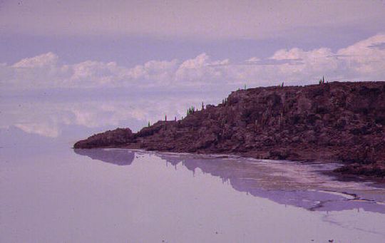 Ile des Pcheurs sur le Salar inond