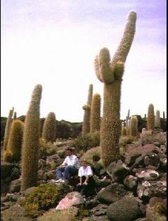 Valérie et Pierre au milieu des cactus géants Valérie et Pierre au milieu des cactus géants
