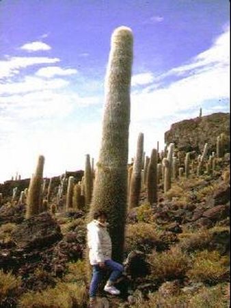 Monique devant un cactus gant