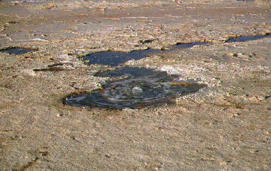 Résurgence d'eau froide - Ojos del Salar Résurgence d'eau froide - Ojos del Salar