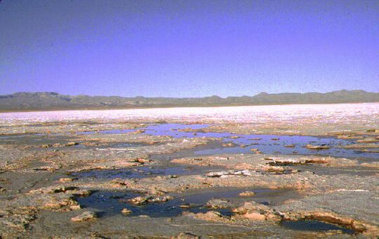Résurgence d'eau froide - Ojos del Salar Résurgence d'eau froide - Ojos del Salar