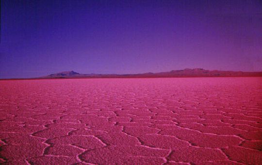 Photo du Salar avec filtre dégradé Photo du Salar avec filtre dégradé