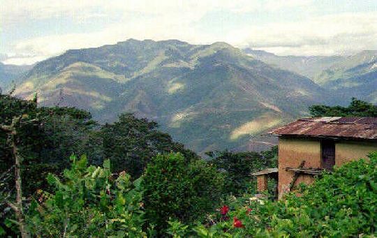 Yungas landscape