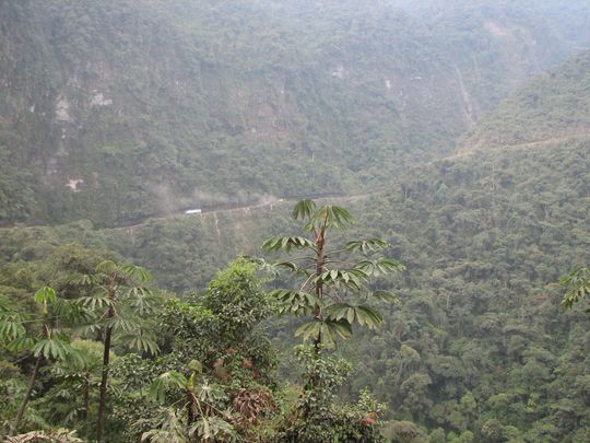 Antigua carretera de tierra de los Yungas