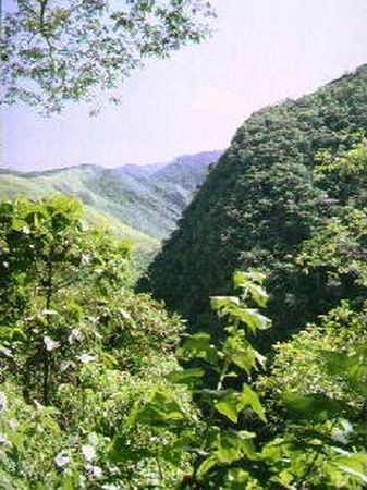 Valle de Zongo